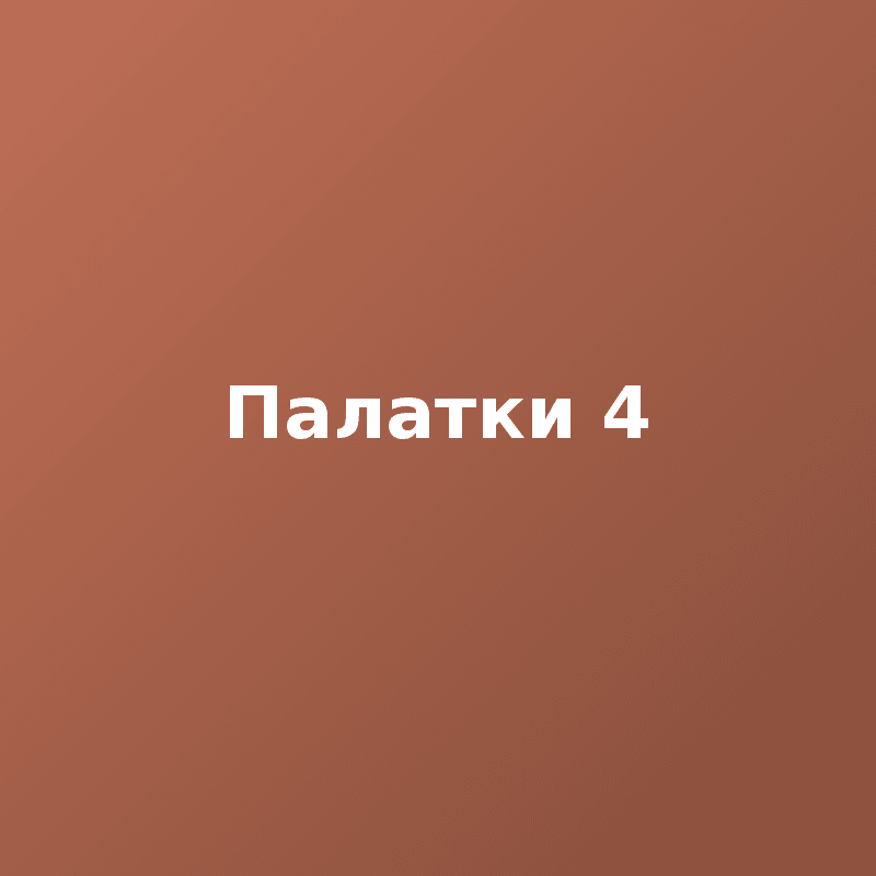 Палатки 4