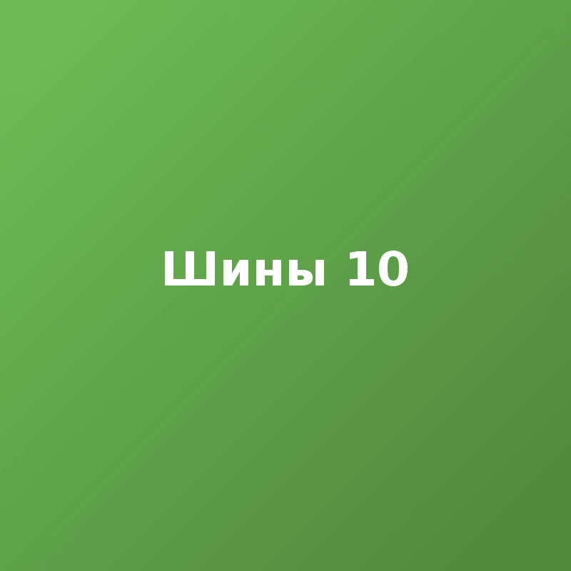 Шины 10