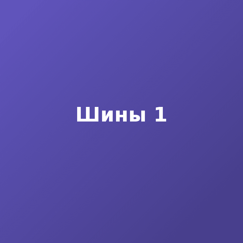 Шины 1