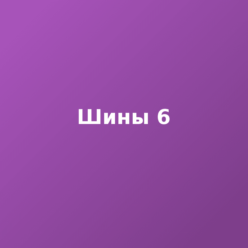 Шины 6