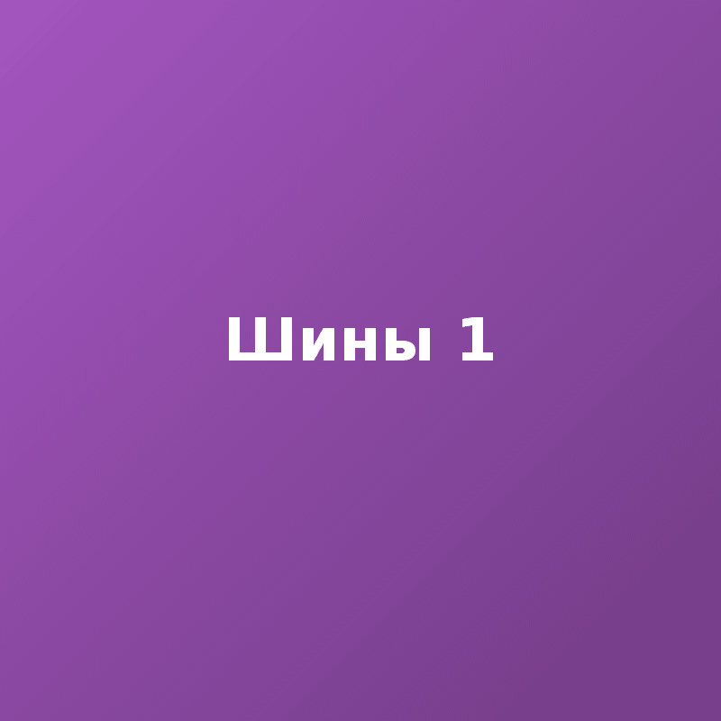 Шины 1