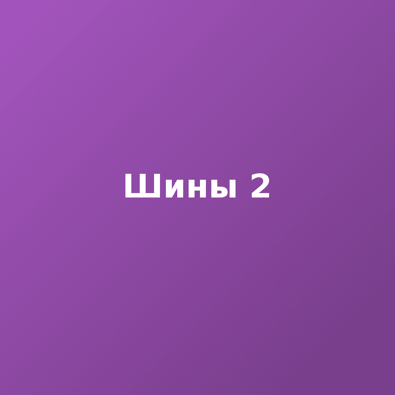 Шины 2