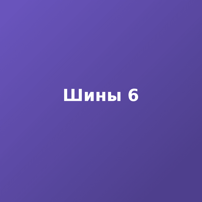 Шины 6