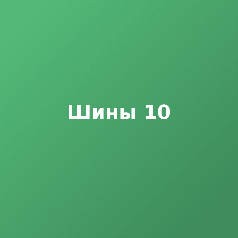 Шины 10